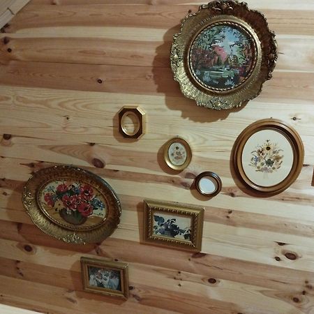 Rustic House Villa Kolaşin Dış mekan fotoğraf