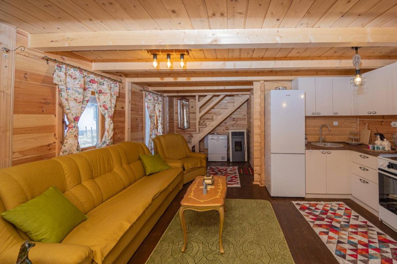 Rustic House Villa Kolaşin Dış mekan fotoğraf