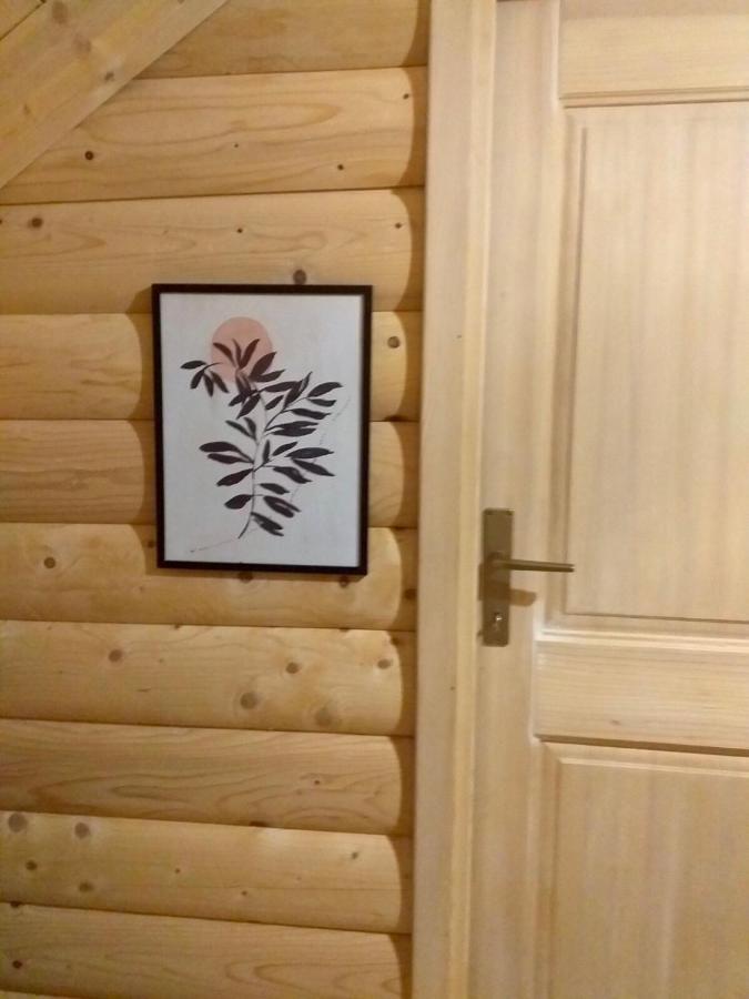 Rustic House Villa Kolaşin Dış mekan fotoğraf